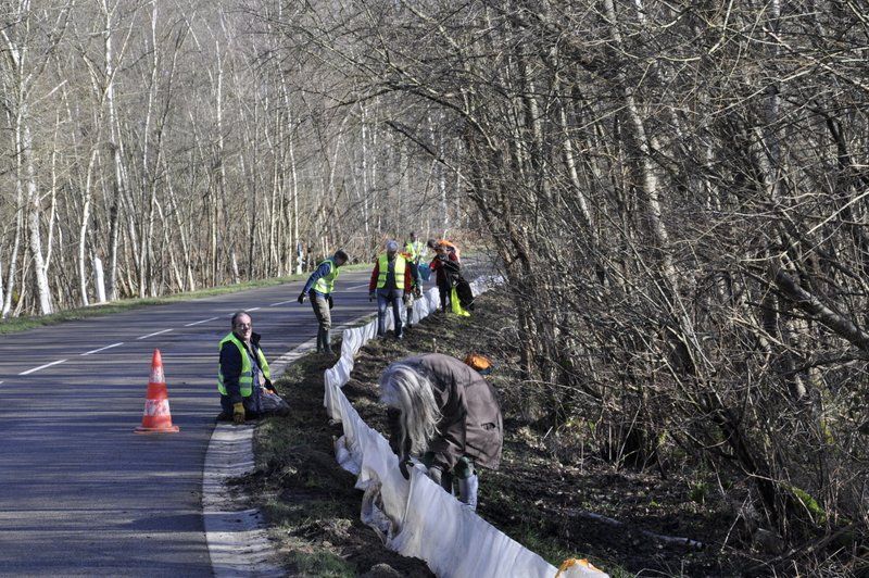 2013 02 25 Montage du crapaudrome 02